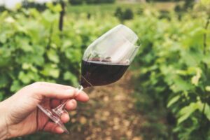 What are Tannins in Wine?