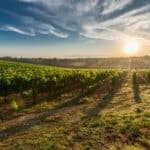 what is a wine appellation