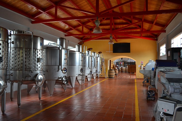wine, production, winery
