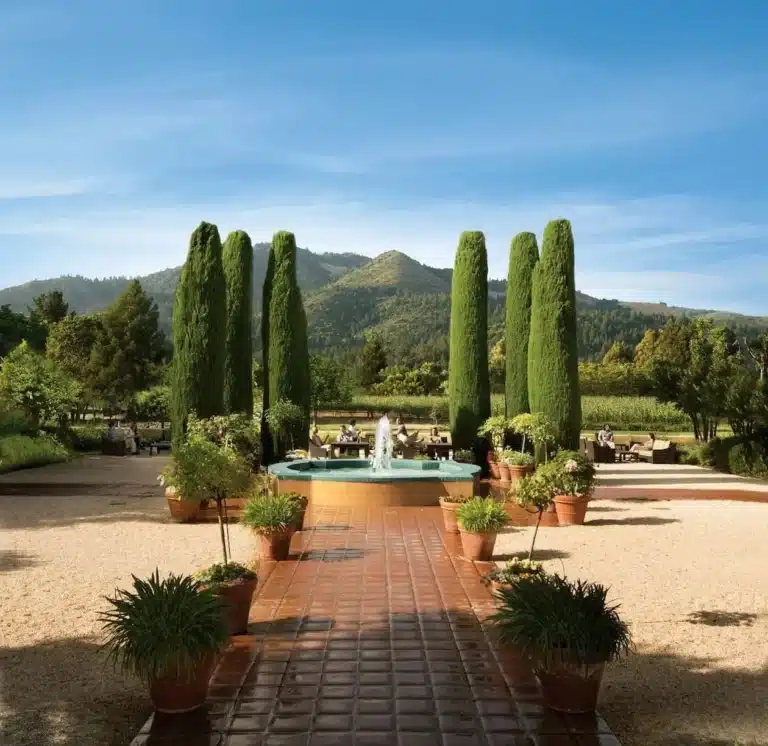 landmark vineyards 768x746